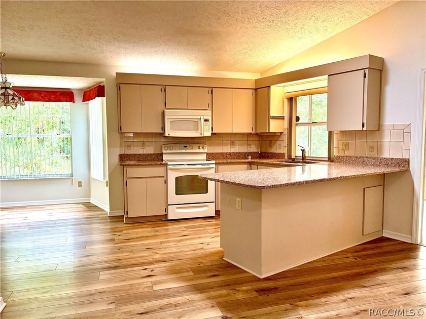 Beautiful, large move in ready home. 3 bedroom 2 bathroom - photo 13