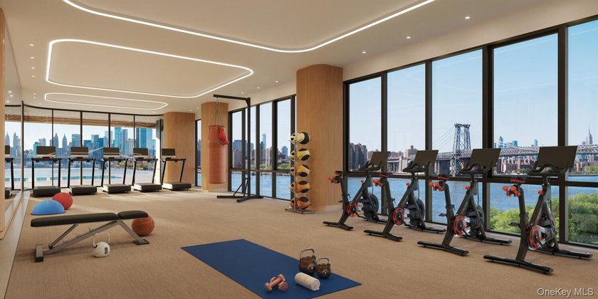 Radiant Resort-Style Living on Brooklyn's East River Waterfront - photo 12