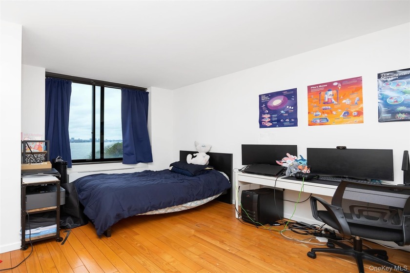 Luxury Waterfront Living in the Heart of Battery Park City - photo 6