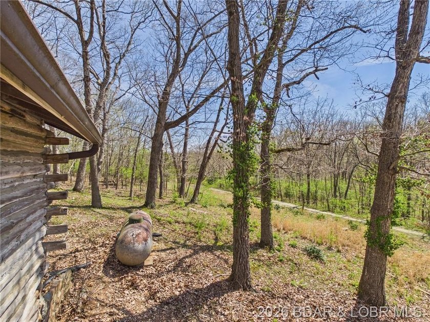Trade the subdivision for the sound of silence at this 11+/- - photo 43