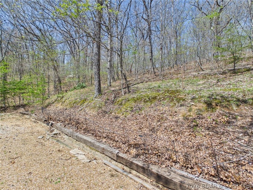 Trade the subdivision for the sound of silence at this 11+/- - photo 45