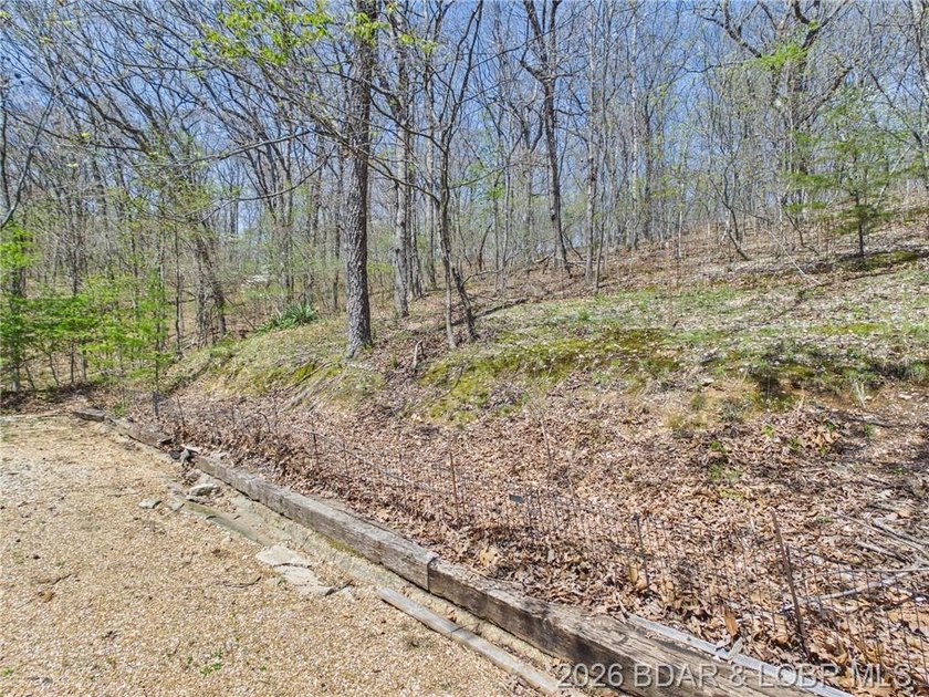 Trade the subdivision for the sound of silence at this 11+/- - photo 45