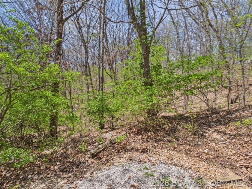 Trade the subdivision for the sound of silence at this 11+/- - photo 48