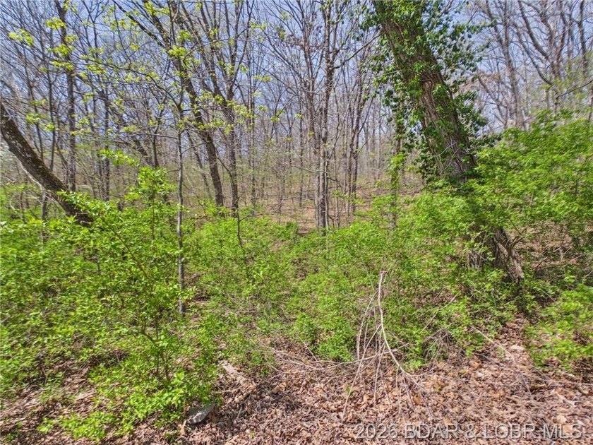 Trade the subdivision for the sound of silence at this 11+/- - photo 49