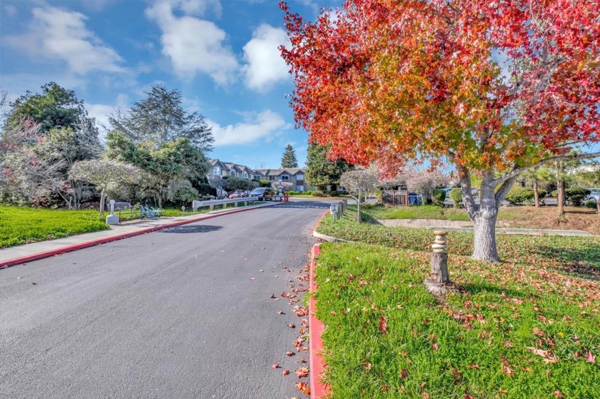 Are you a senior, looking for an affordable condo in a - photo 11