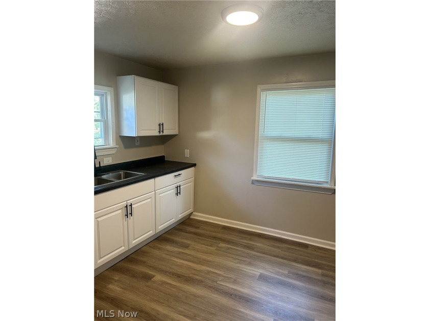 This Stunning Colonial 4 bedroom 1 full and 2 half baths, fenced - photo 11