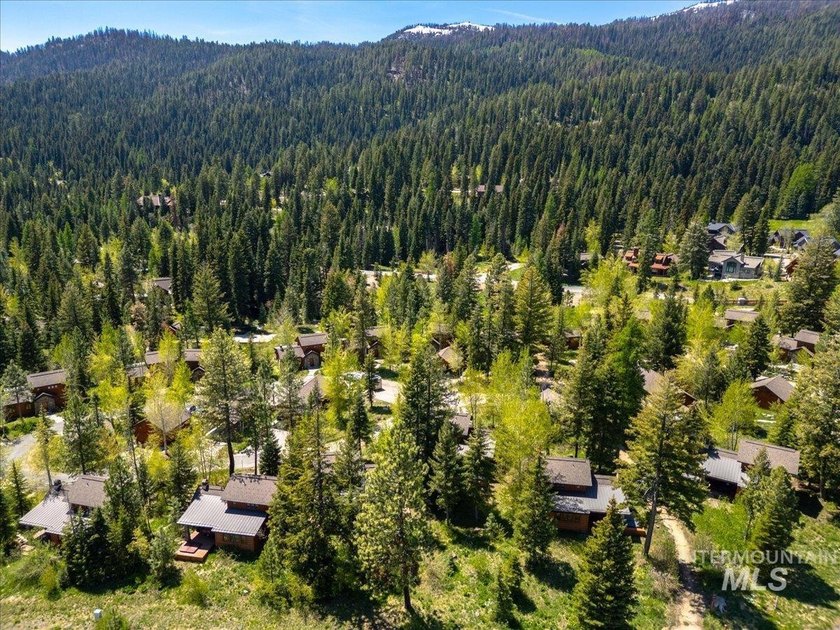 Explore the pinnacle of turnkey mountain getaway living in this - photo 42