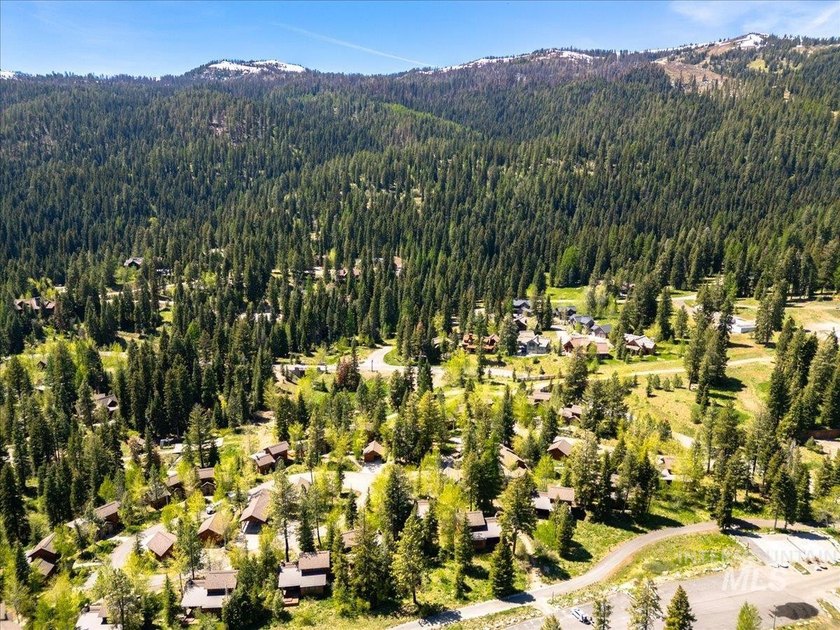 Explore the pinnacle of turnkey mountain getaway living in this - photo 44