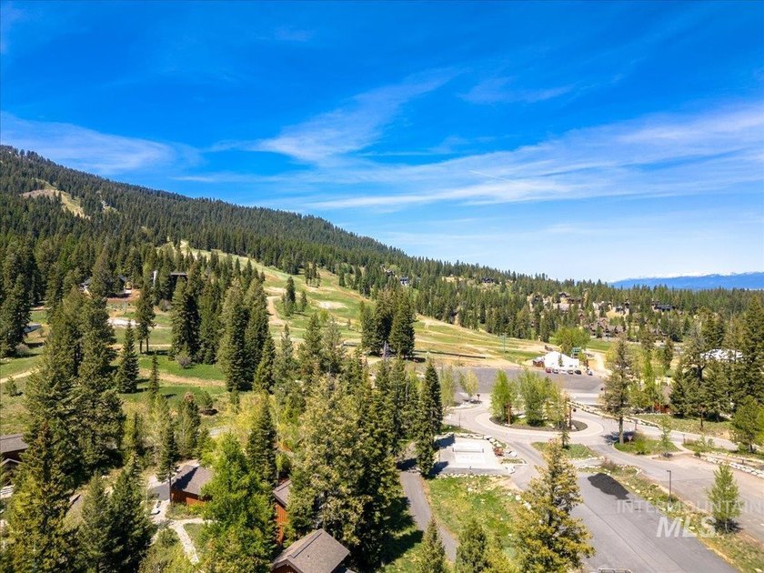 Explore the pinnacle of turnkey mountain getaway living in this - photo 48