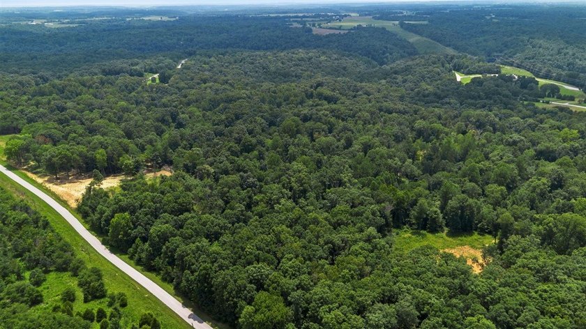Rare opportunity near Lake Malone! Discover 36 acres of amazing - photo 4