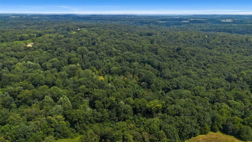 Rare opportunity near Lake Malone! Discover 36 acres of amazing - photo 10