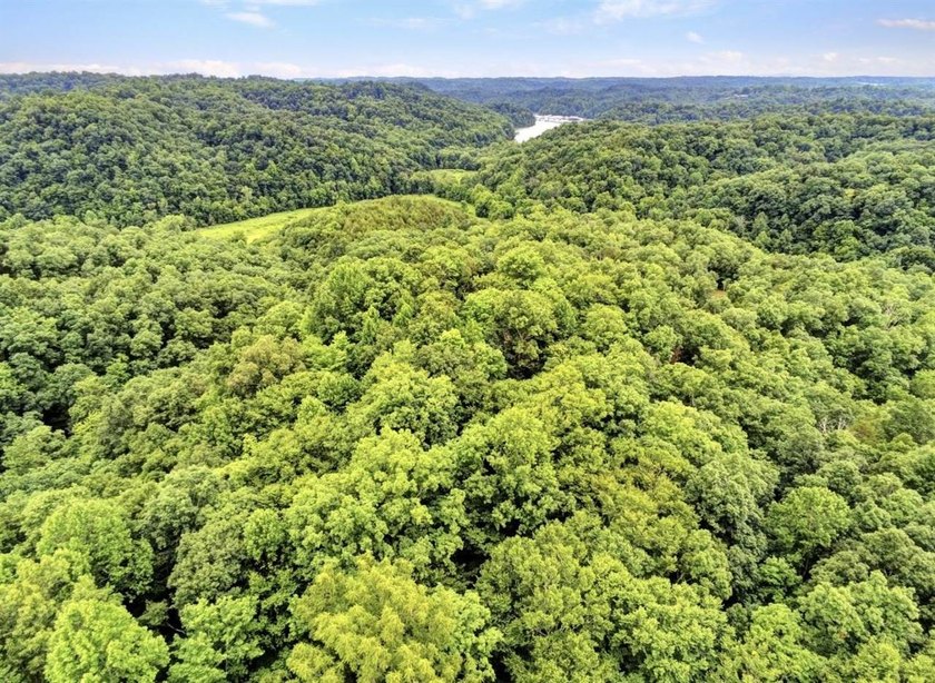 4.5 Acres Near Dale Hollow Lake - Ready for Your Dream Lake - photo 2
