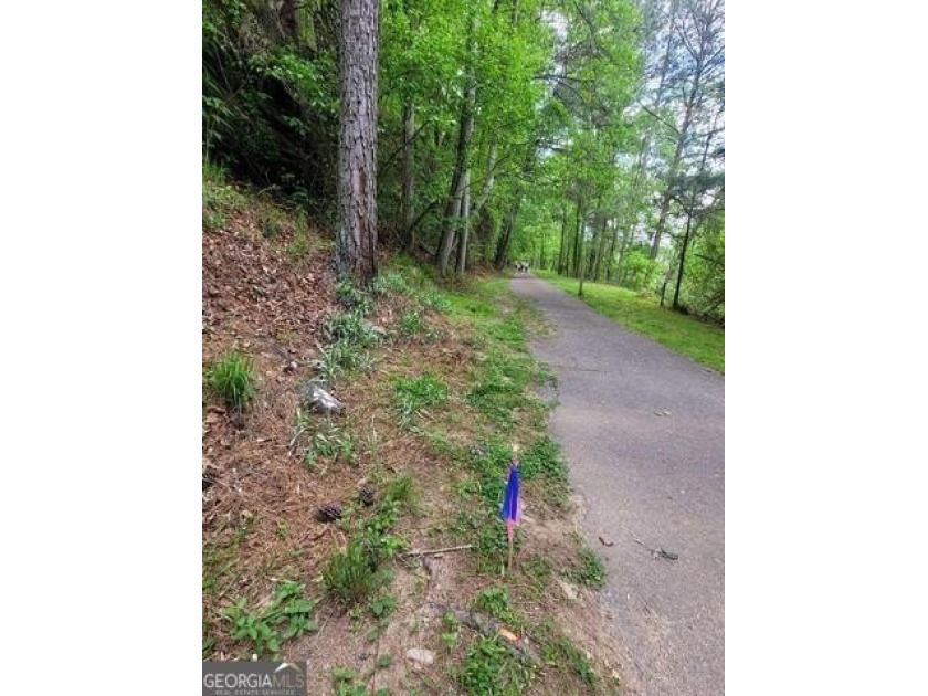 PRICE REDUCTION! Bring all OFFERS! Rare Opportunity - Developer - photo 11