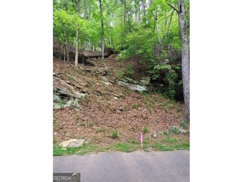 PRICE REDUCTION! Bring all OFFERS! Rare Opportunity - Developer - photo 12
