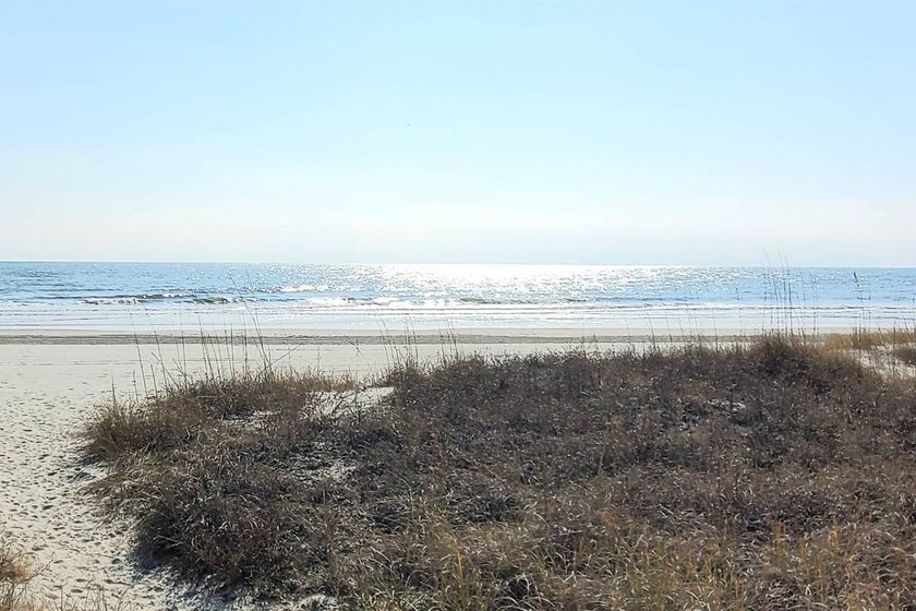 Please check out virtual tour. This property has a very healthy - photo 37