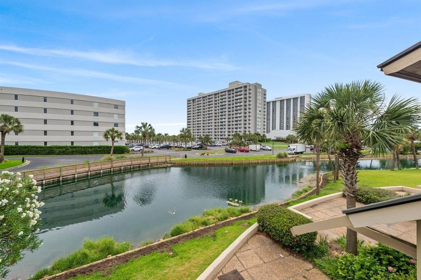 Please check out virtual tour. This property has a very healthy - photo 39