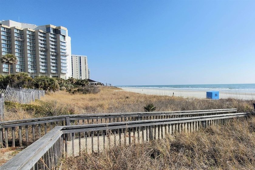 Please check out virtual tour. This property has a very healthy - photo 43