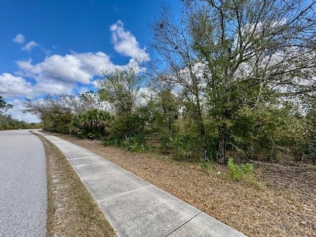 Residential lot in Peace River Shores with ECAP zoning. This 10 - photo 2