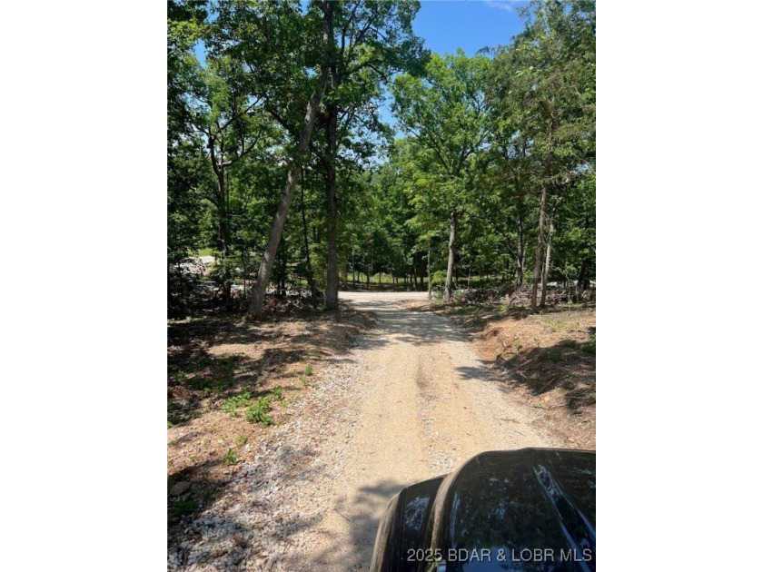 Once in a lifetime property cleared and ready for you to build - photo 19