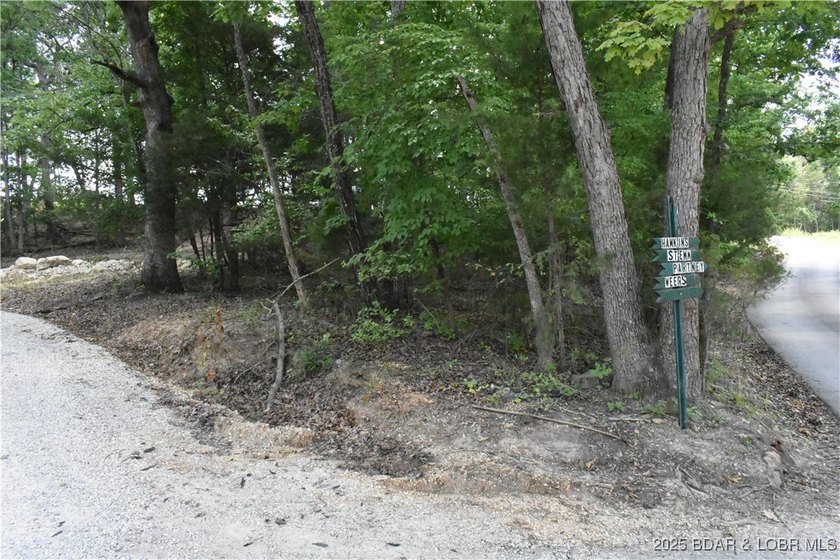 Once in a lifetime property cleared and ready for you to build - photo 20
