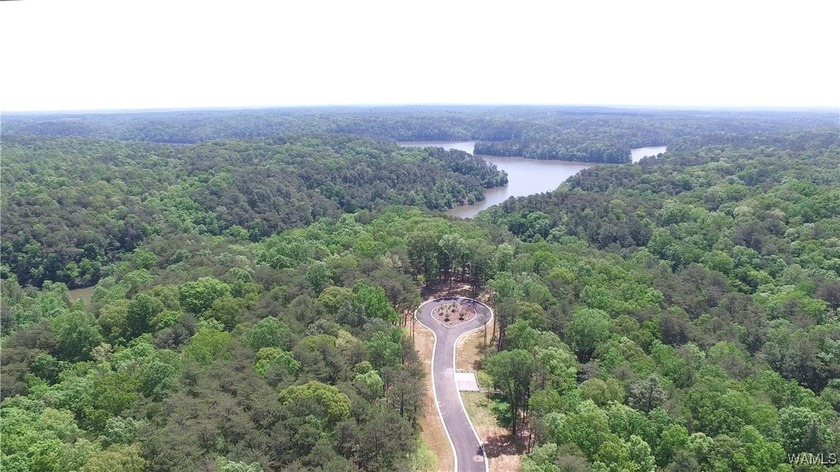 Imagine building your dream home in a beautiful wooded - photo 3