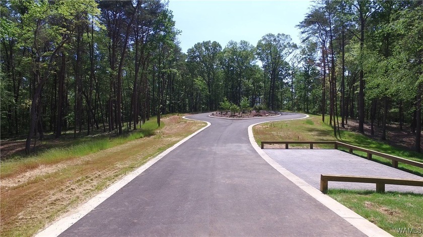 Imagine building your dream home in a beautiful wooded - photo 4