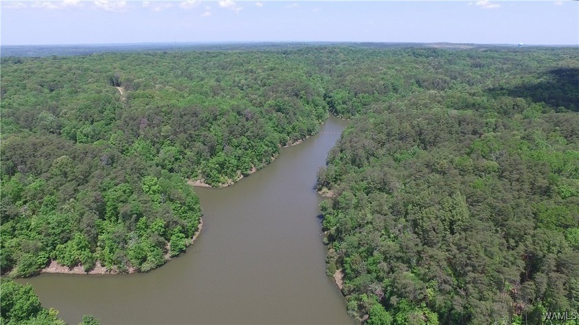 Imagine building your dream home in a beautiful wooded - photo 5