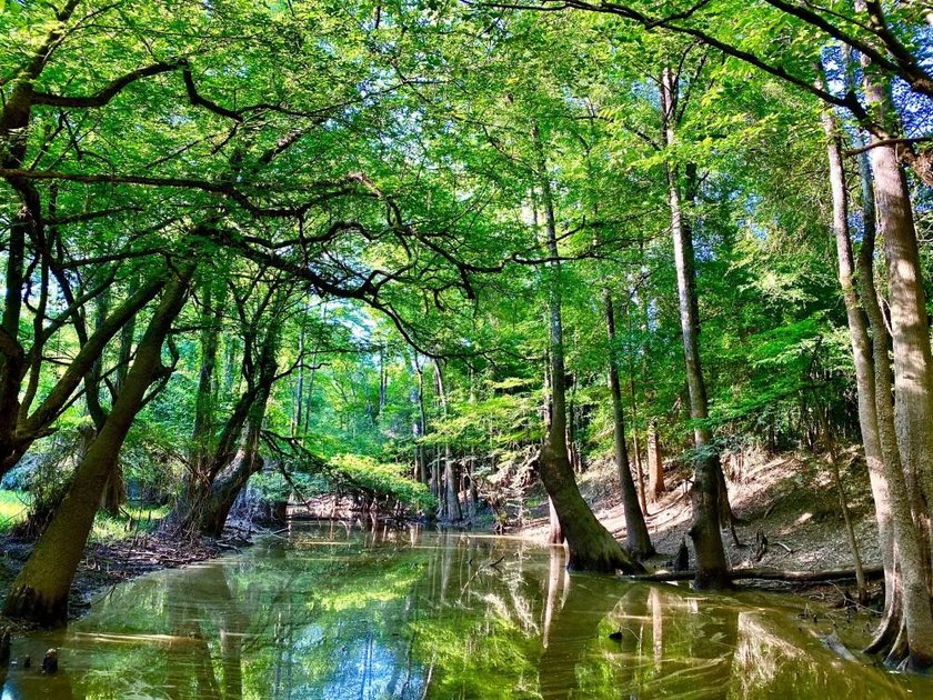 This diverse riverfront property is a rare find. Located between - photo 22