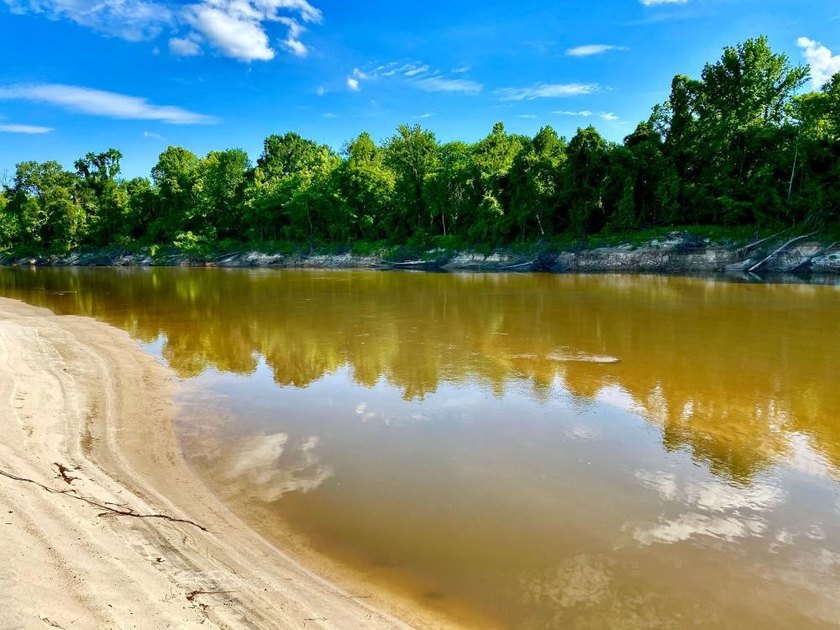 This diverse riverfront property is a rare find. Located between - photo 26