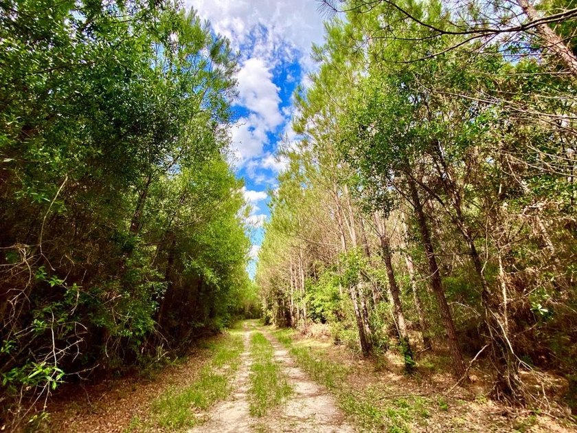 This diverse riverfront property is a rare find. Located between - photo 37