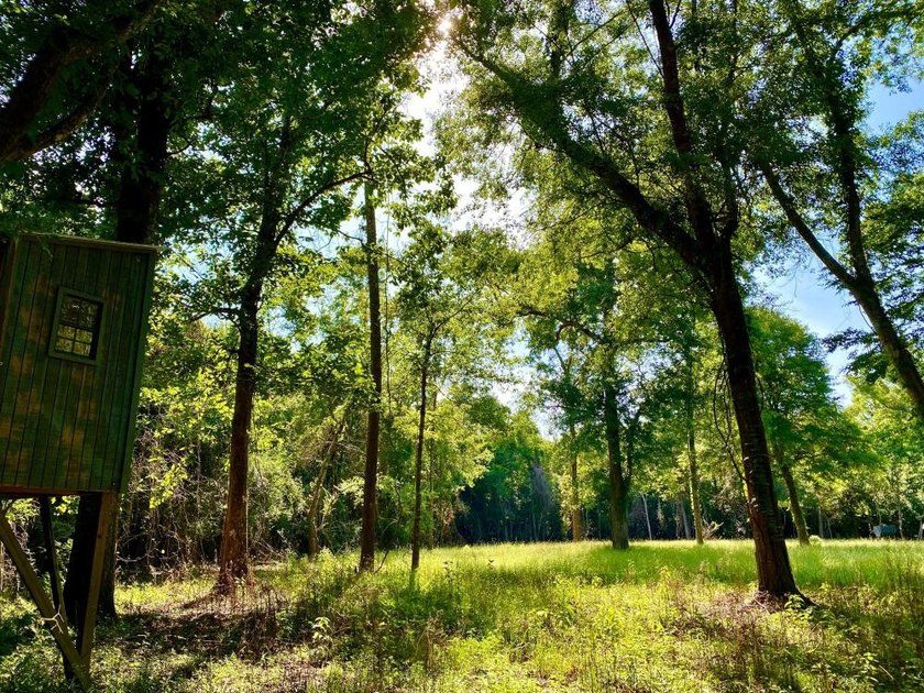 This diverse riverfront property is a rare find. Located between - photo 42