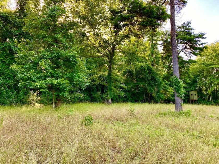 This diverse riverfront property is a rare find. Located between - photo 50