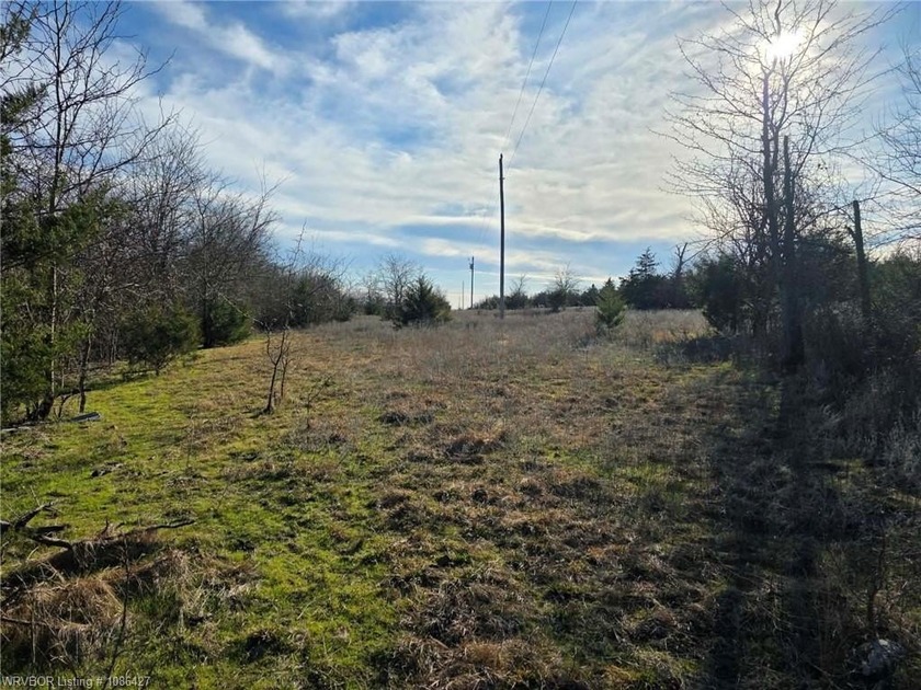 ** OWNER FINANCING AVAILABLE** This 11.5 acre Kiamichi Mountain - photo 15