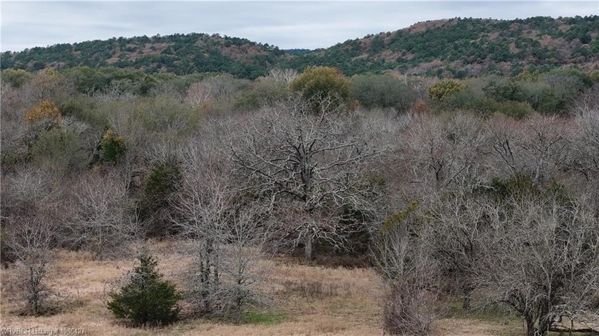 ** OWNER FINANCING AVAILABLE** This 11.5 acre Kiamichi Mountain - photo 22