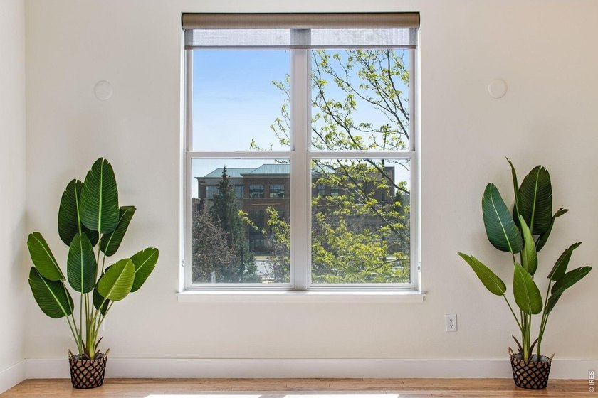 Experience contemporary downtown living at 204 Maple St, Unit - photo 5