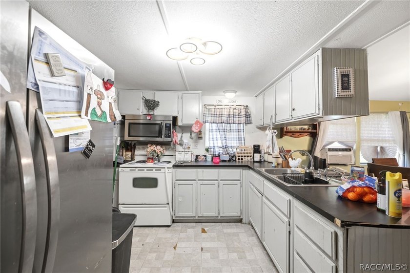 Located on a 0.19-acre corner lot in Floral City, this - photo 12