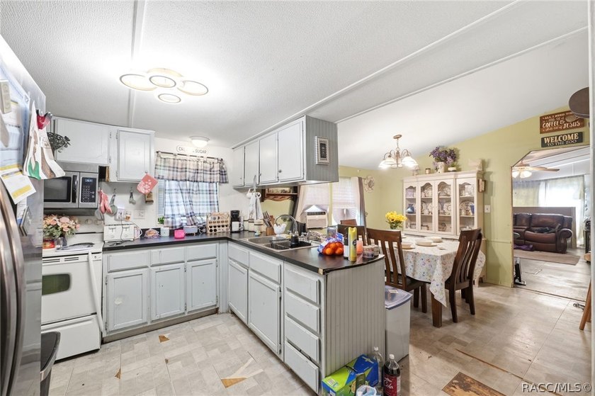 Located on a 0.19-acre corner lot in Floral City, this - photo 13