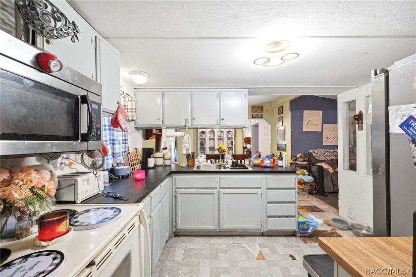 Located on a 0.19-acre corner lot in Floral City, this - photo 14