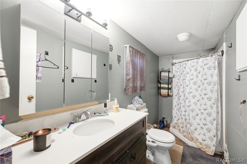 Located on a 0.19-acre corner lot in Floral City, this - photo 22