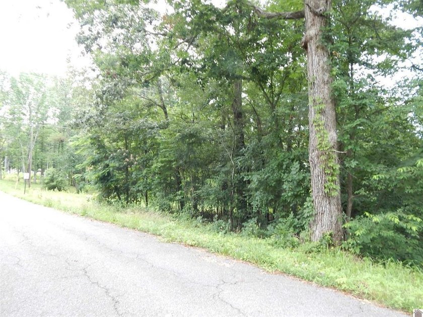 LAKE AREA LOT-CORNER LOT FACING HWY 68 &amp; COLSON LANE-CLOSE TO - photo 11
