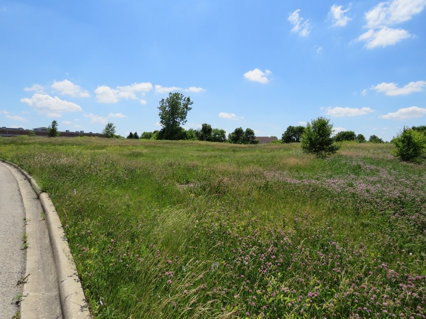 Outstanding Romeoville development opportunity! 3.474 acre site - photo 5