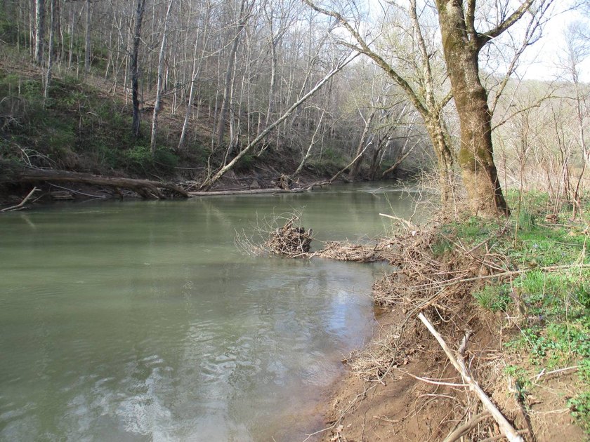 This log home is sitting on 2.27 acres, more or less, and is - photo 20