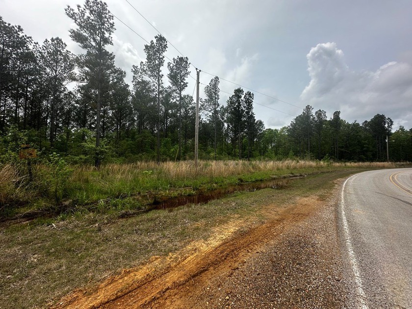APPROX 197 ACRES LAFAYETTE COUNTY TIMBERLAND, GENTLY ROLLING - photo 2