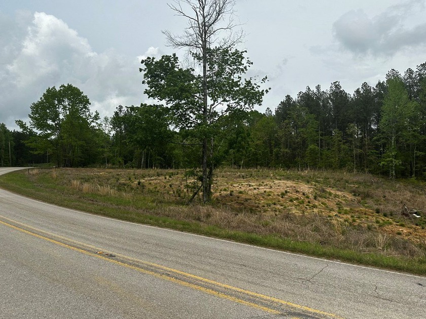 APPROX 197 ACRES LAFAYETTE COUNTY TIMBERLAND, GENTLY ROLLING - photo 3