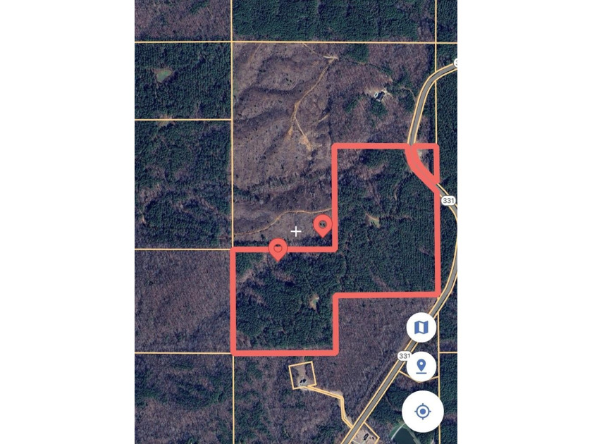 APPROX 197 ACRES LAFAYETTE COUNTY TIMBERLAND, GENTLY ROLLING - photo 4