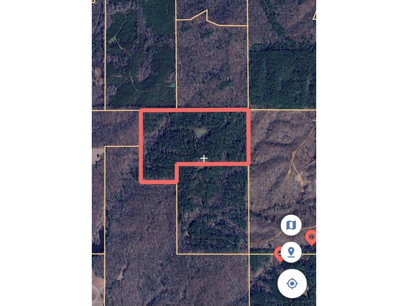 APPROX 197 ACRES LAFAYETTE COUNTY TIMBERLAND, GENTLY ROLLING - photo 6