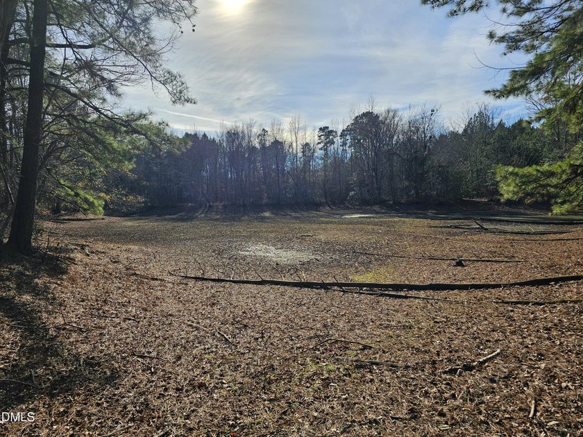 31.58+/- acres available in Rocky Mount! This remarkable tract - photo 7