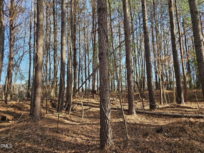 31.58+/- acres available in Rocky Mount! This remarkable tract - photo 8
