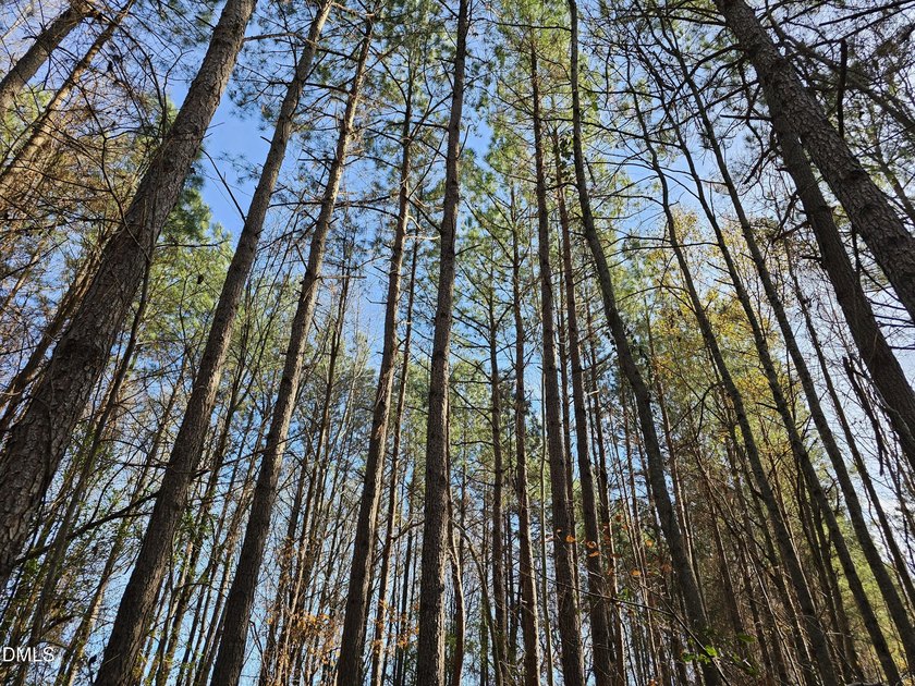 31.58+/- acres available in Rocky Mount! This remarkable tract - photo 9