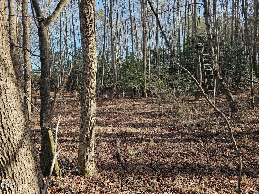 31.58+/- acres available in Rocky Mount! This remarkable tract - photo 10